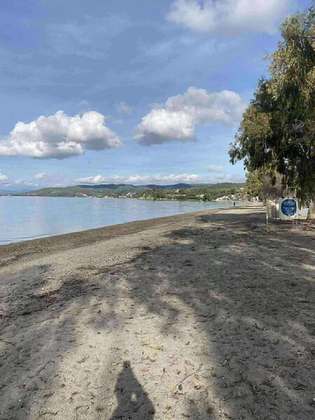 Sitonia, Grecia, Maisonete (P + 1), 4 camere, 60 m de mare